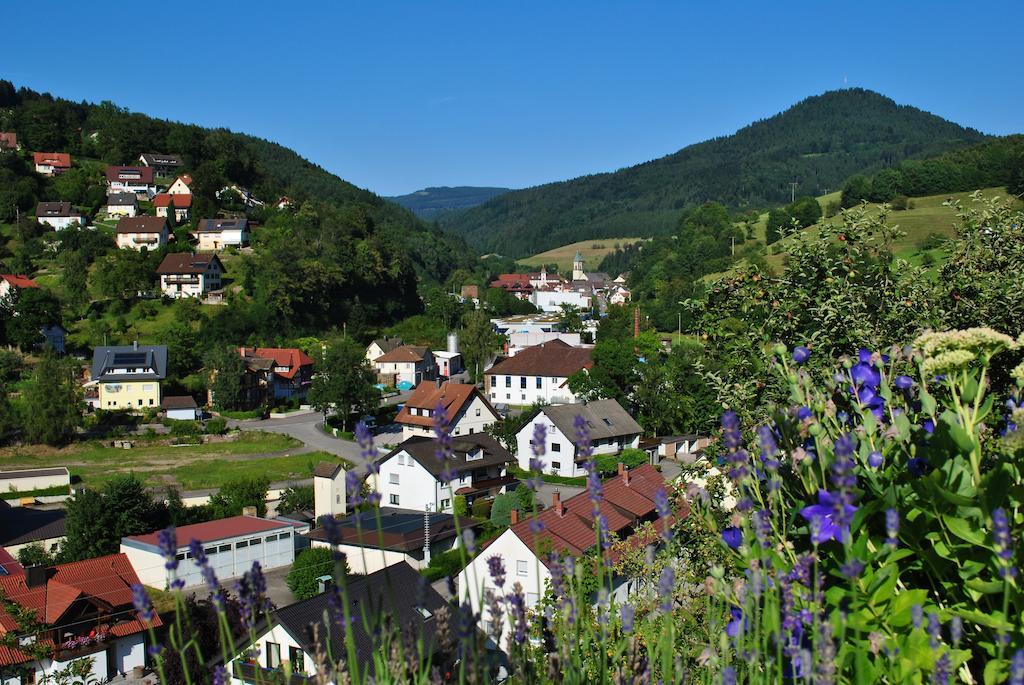 Ferienwohnung Schwarzwaldsteig Bad Peterstal-Griesbach Zimmer foto