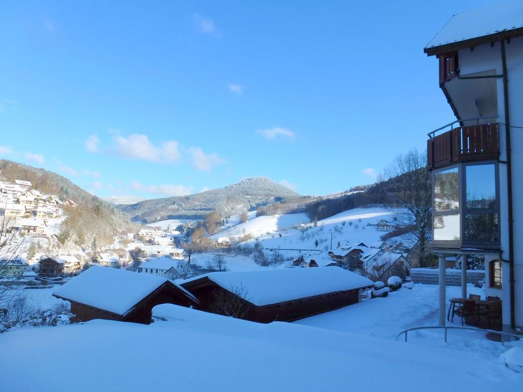 Ferienwohnung Schwarzwaldsteig Bad Peterstal-Griesbach Exterior foto